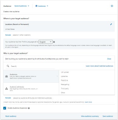 Screenshot of Campaign Manager, "Build your audience"; section