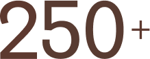 250+ stat